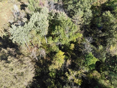 Riverfront Property For Sale in New London, WI - image 23