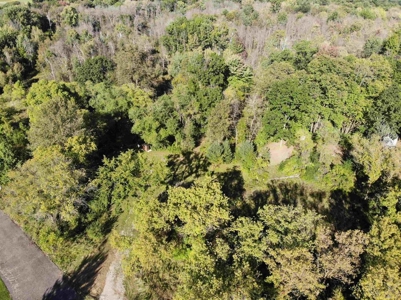 Riverfront Property For Sale in New London, WI - image 24
