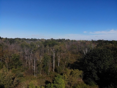 Riverfront Property For Sale in New London, WI - image 41