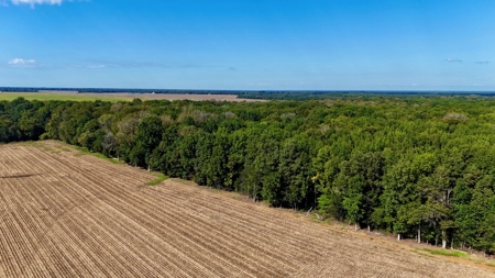 Land Auction  Ballard County, Kentucky Tract #3 - image 2