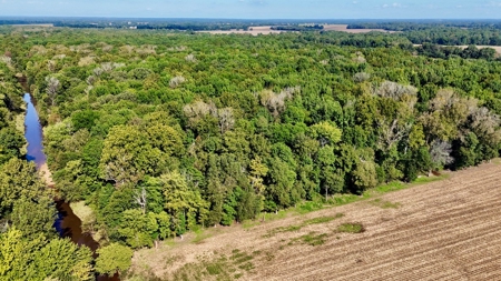 Land Auction  Ballard County, Kentucky Tract #3 - image 1