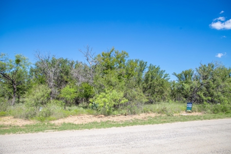 Lot for sale George Baugh's Lake Brownwood Texas - image 17