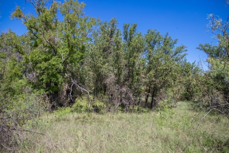 Lot for sale George Baugh's Lake Brownwood Texas - image 16