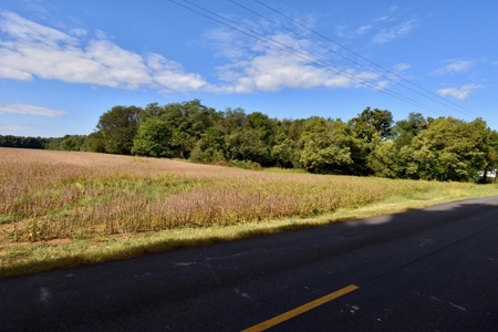 Land Auction in Ballard County, Kentucky Tract #2 - image 8