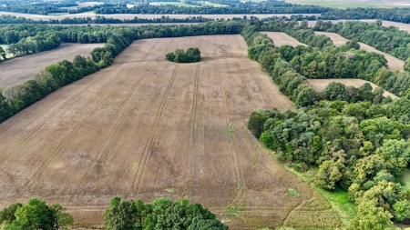Land Auction in Ballard County, Kentucky Tract #2 - image 3