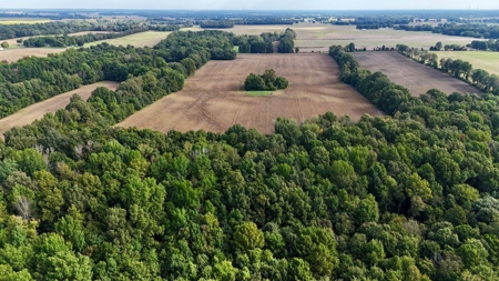 Land Auction in Ballard County, Kentucky Tract #2 - image 5