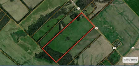 Land Auction in Ballard County, Kentucky Tract #2 - image 6