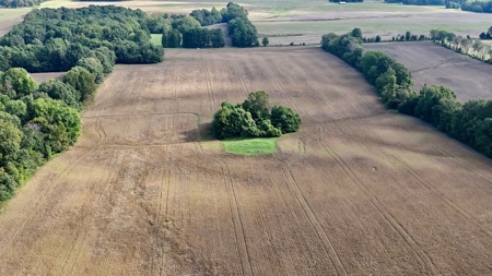Land Auction in Ballard County, Kentucky Tract #2 - image 4