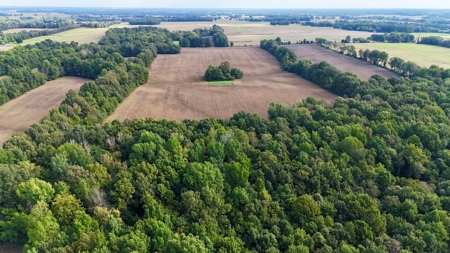 Land Auction in Ballard County, Kentucky Tract #2 - image 2