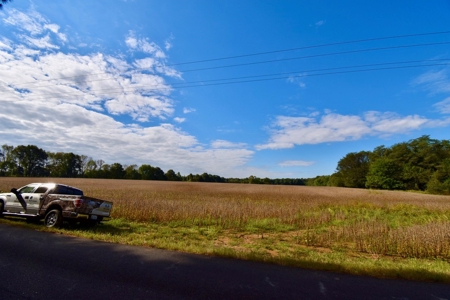 Land Auction in Ballard County, Kentucky Tract #2 - image 9