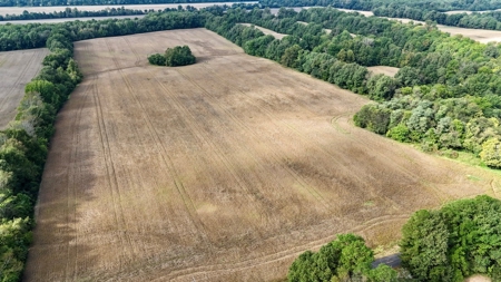 Land Auction in Ballard County, Kentucky Tract #2 - image 1