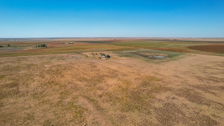 Bailey County Half Section of Land for Sale - image 14