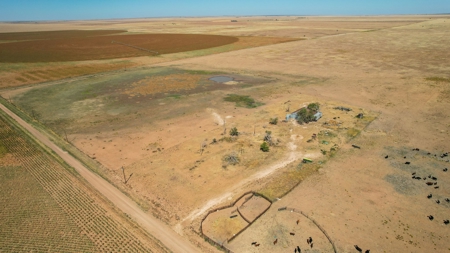 Bailey County Half Section of Land for Sale - image 16