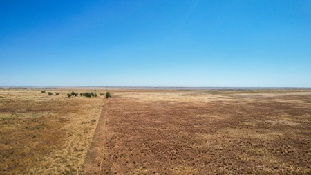 Bailey County Half Section of Land for Sale - image 2