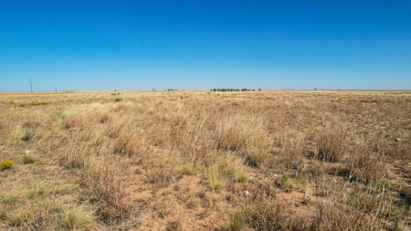 Bailey County Half Section of Land for Sale - image 19