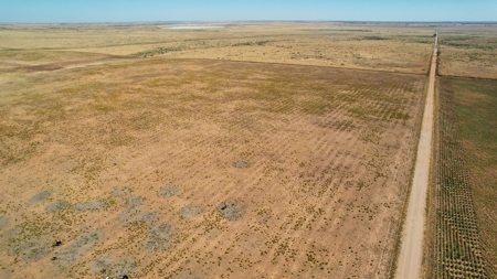 Bailey County Half Section of Land for Sale - image 17