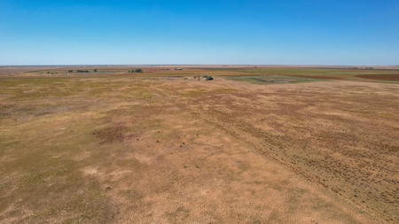 Bailey County Half Section of Land for Sale - image 10