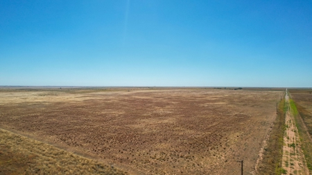Bailey County Half Section of Land for Sale - image 1