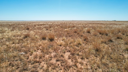 Bailey County Half Section of Land for Sale - image 3