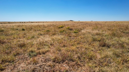 Bailey County Half Section of Land for Sale - image 9