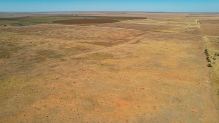 Bailey County Half Section of Land for Sale - image 7