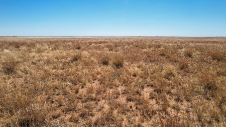 Bailey County Half Section of Land for Sale - image 4