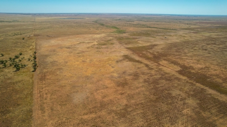 Bailey County Half Section of Land for Sale - image 5