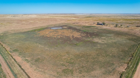 Bailey County Half Section of Land for Sale - image 18