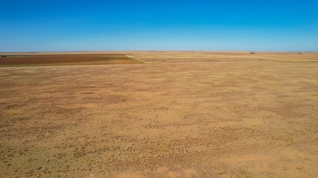 Bailey County Half Section of Land for Sale - image 11