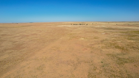 Bailey County Half Section of Land for Sale - image 12
