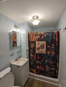 Investment Property for Sale in WIllis VA! - image 35