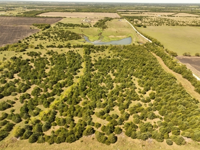 Prime Development Opportunity in Greenville, Texas - image 15