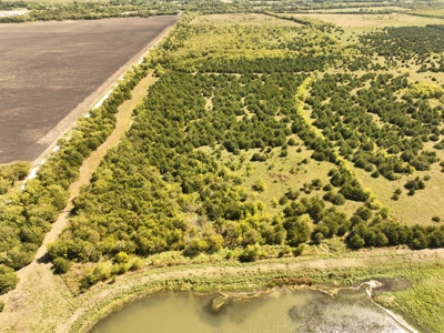 Prime Development Opportunity in Greenville, Texas - image 8