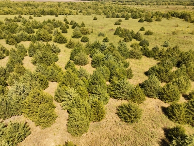 Prime Development Opportunity in Greenville, Texas - image 25