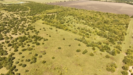 Prime Development Opportunity in Greenville, Texas - image 2