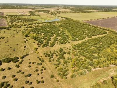 Prime Development Opportunity in Greenville, Texas - image 17