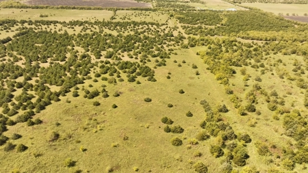 Prime Development Opportunity in Greenville, Texas - image 4