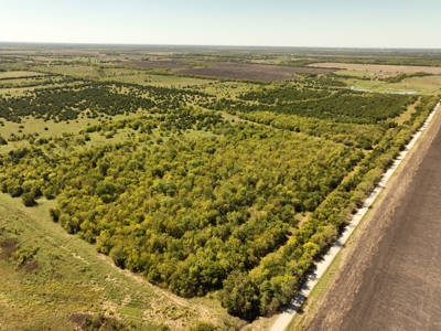 Prime Development Opportunity in Greenville, Texas - image 5