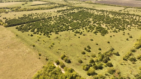 Prime Development Opportunity in Greenville, Texas - image 3