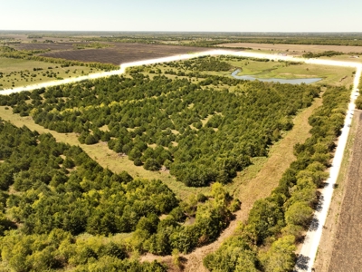 Prime Development Opportunity in Greenville, Texas - image 13