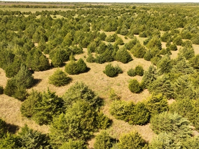 Prime Development Opportunity in Greenville, Texas - image 24