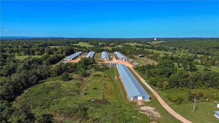 Boone County, AR Profitable Poultry Farm For Sale - image 5