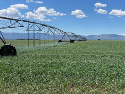 Central Torrance County, NM Farm and Land for Sale - image 1