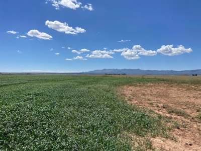 Central Torrance County, NM Farm and Land for Sale - image 14