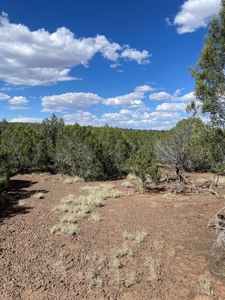 Your Dream Ranch Property - image 6