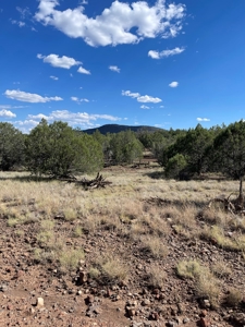Your Dream Ranch Property - image 8