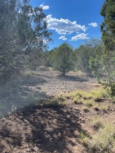 Your Dream Ranch Property - image 4