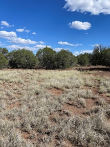 Your Dream Ranch Property - image 3