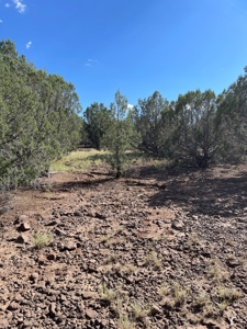 Your Dream Ranch Property - image 2