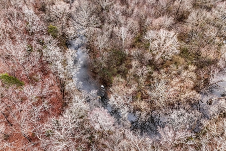Huge Lot For Sale Near Hwy 74 in Union County NC - image 12